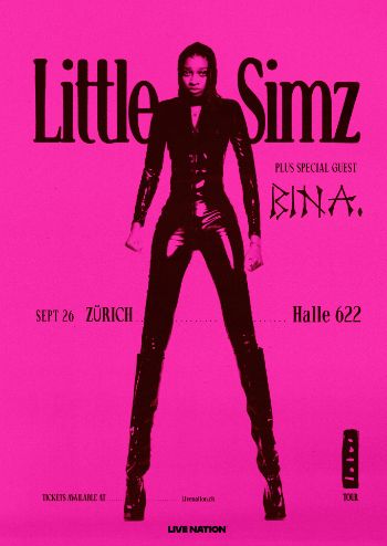  little-simz